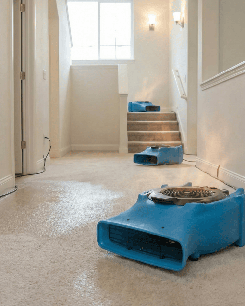 Low profile air mover hire London — Dri-Eaz Velo 240V carpet dryer, 22.9 cm profile