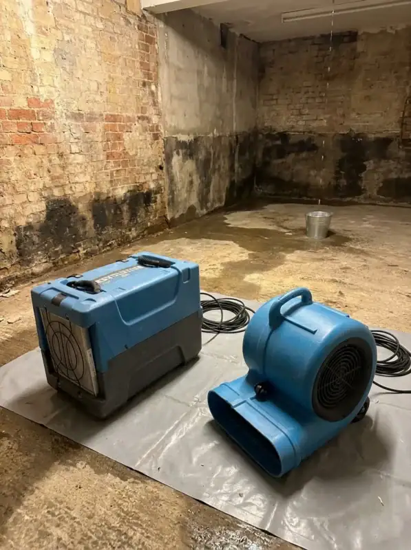 Dehumidifier and air mover drying a damp, mould-affected wall