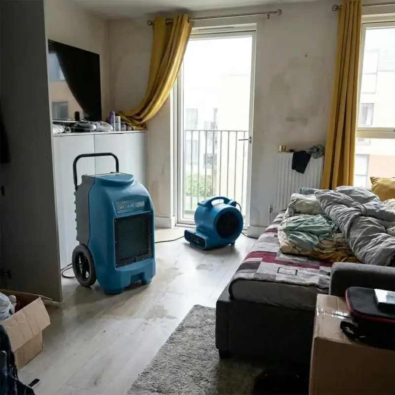 Dehumidifier and air mover tackling damp in a rented flat